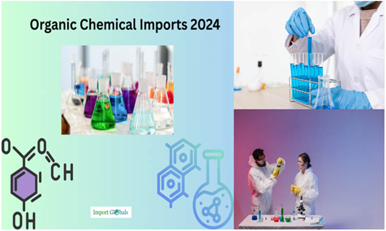 Organic Chemical Imports 2024: A Data-Driven Perspective