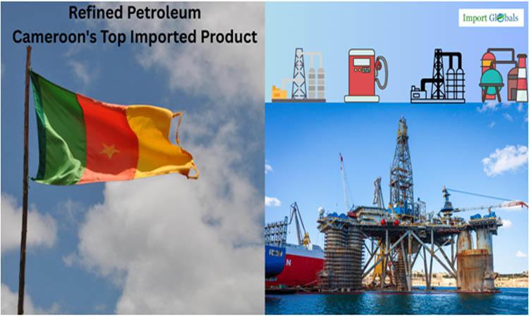 A Detailed Study of Refined Petroleum, Cameroon's Top Imported Good