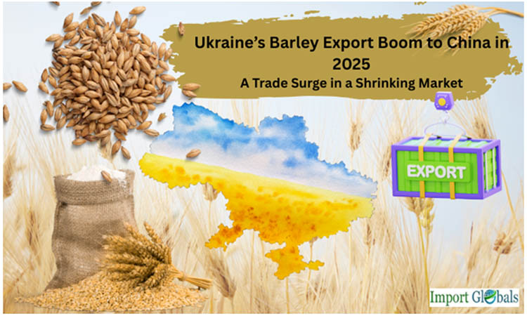 Ukraine’s Barley Export Boom to China in 2025: A Trade Surge in a Shrinking Market