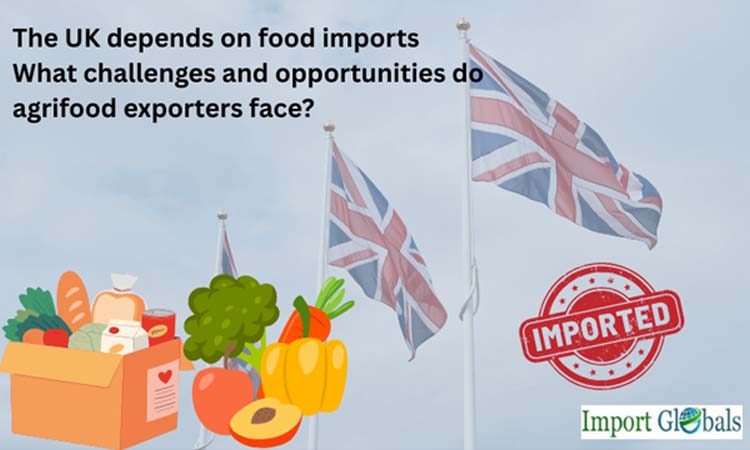The UK Depends on Food Imports: What Challenges and Opportunities Do Agrifood Exporters Face?